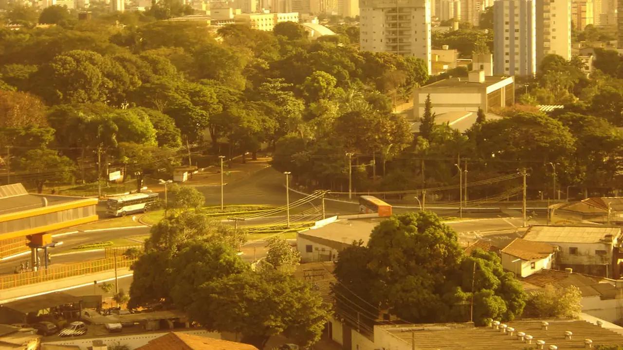 Criação de Sites em Goiânia