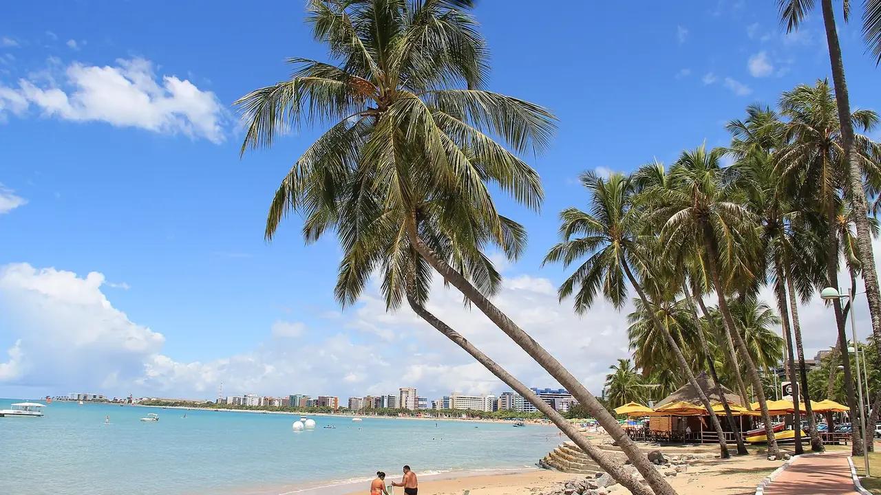 Criação de Sites em Maceió