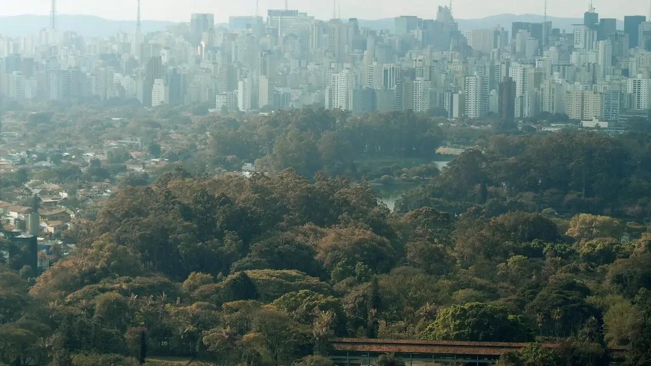 Criação de Sites em São Paulo