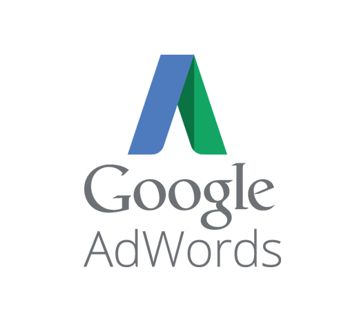 Google Adwords, entenda a Plataforma de Publicidade Online do Google 1