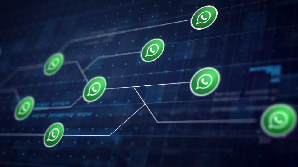 Saiba tudo sobre a precificação do WhatsApp Business API