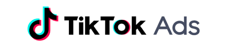 tiktok ads - gestão de tráfego